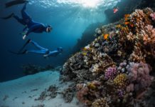 ENTRADA GRATUITA: Espetáculo “Mar de Dentro” leva poesia, ancestralidade e emoção ao Museu Histórico de Leme, SP