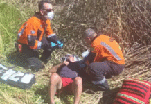Idoso de 77 anos fica mais de 24 horas desaparecido em mata; cão ajudou bombeiros no resgate