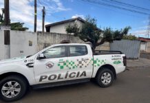 Polícia Militar Ambiental aplica multa por poda drástica de árvore em Leme, SP