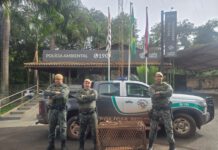 Polícia Militar Ambiental apreende armadilha de caça ilegal na zona rural de Pirassununga, SP