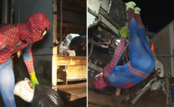 Coletor de lixo lemense vira Homem-Aranha e enfrenta frio: ‘Tem que ser herói’