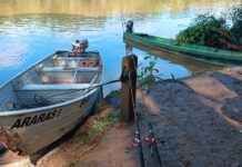 Pescador é multado em R$ 1 mil por pescar em área proibida no Rio Mogi Guaçu em Pirassununga, SP
