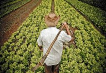 Prefeitura convida população para Missa em homenagem ao Dia do Agricultor em Leme, SP