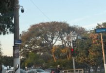 Fiscalização no trânsito ganha reforço com nova câmera na Avenida Joaquim Lopes Águila em Leme, SP