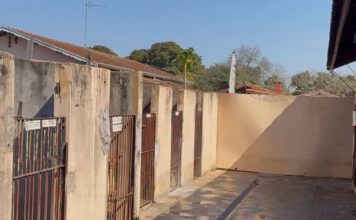 ONG Bicho Carente faz apelo para não perder espaço onde abriga animais em Leme, SP