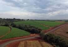 Novo Anel Viário terá 3 quilômetros e investimento de R$ 4,3 milhões em Leme, SP