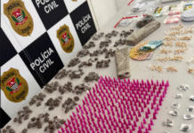 Operação da DISE termina com dois presos e grande apreensão de drogas em Araras, SP