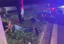 Motociclista foge na contramão, bate em viatura e acaba detido