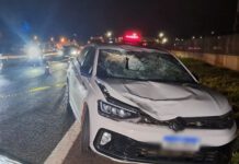 URGENTE! Pedestre morre atropelado ao tentar atravessar a Rodovia Anhanguera