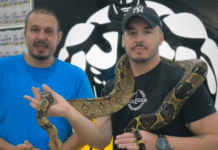 Body Factor reúne dezenas de pessoas em exposição inédita de animais em Araras, SP