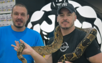 Body Factor reúne dezenas de pessoas em exposição inédita de animais em Araras, SP