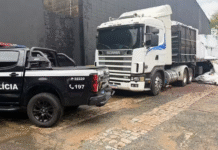 Polícia Civil apreende 664 kg de maconha escondidos em carga de adubo na Rodovia Anhanguera