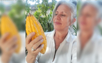 Ierê Cacau leva produção orgânica e biodinâmica para todo o Brasil e conta com representação em Leme, SP