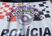 Mulher é presa após esconder sacola com mais de 150 porções de drogas em Limeira, SP