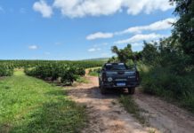 Polícia Militar Ambiental aplica multa de R$ 31,8 mil e embarga área de 2,12 hectares em Casa Branca, SP