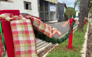 Clima de Natal chegando! Enfeites natalinos já começam a tomar conta de Leme, SP