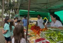 Crianças aprendem a combater o desperdício de alimentos durante visita à feira em Leme, SP