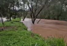 Chuva forte eleva nível dos rios e provoca transtornos em Leme, SP