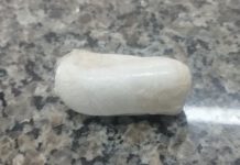 Polícia Militar apreende adolescente de 15 anos com 52 gramas de cocaína após denúncia de tráfico em Leme, SP